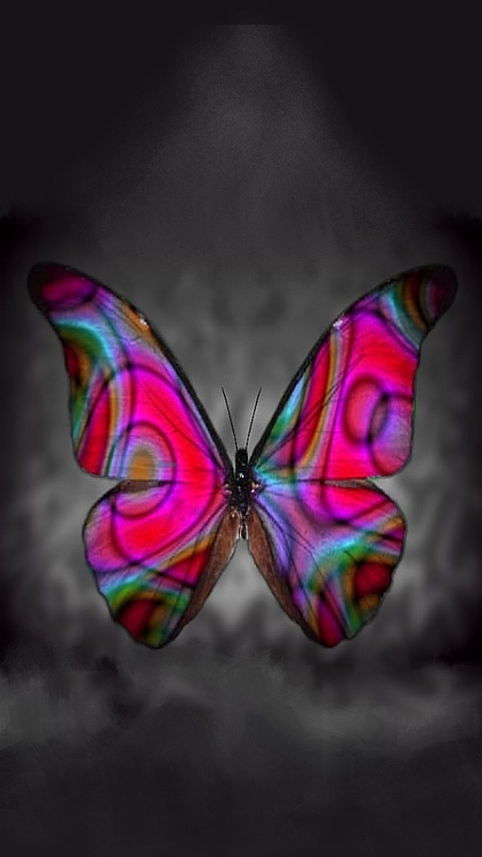 A close up of a butterfly with a black background (abstract, art, beautiful, black, butterfly)