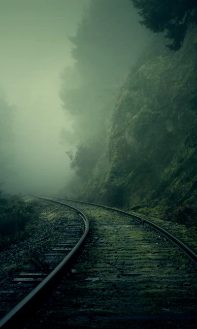 fog, fuzzy, green, life, path