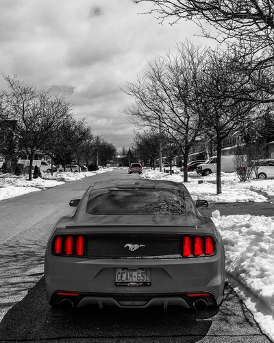 Ford Mustang Turbo sur une rue enneigée