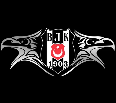 ayyıldız, ayyildiz, besiktas, blanc, noir