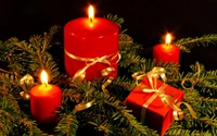 Velas y adornos navideños festivos entre ramas de abeto