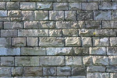 Pared de piedra texturizada con diferentes tonos y tamaños de ladrillos y un toque de vegetación.