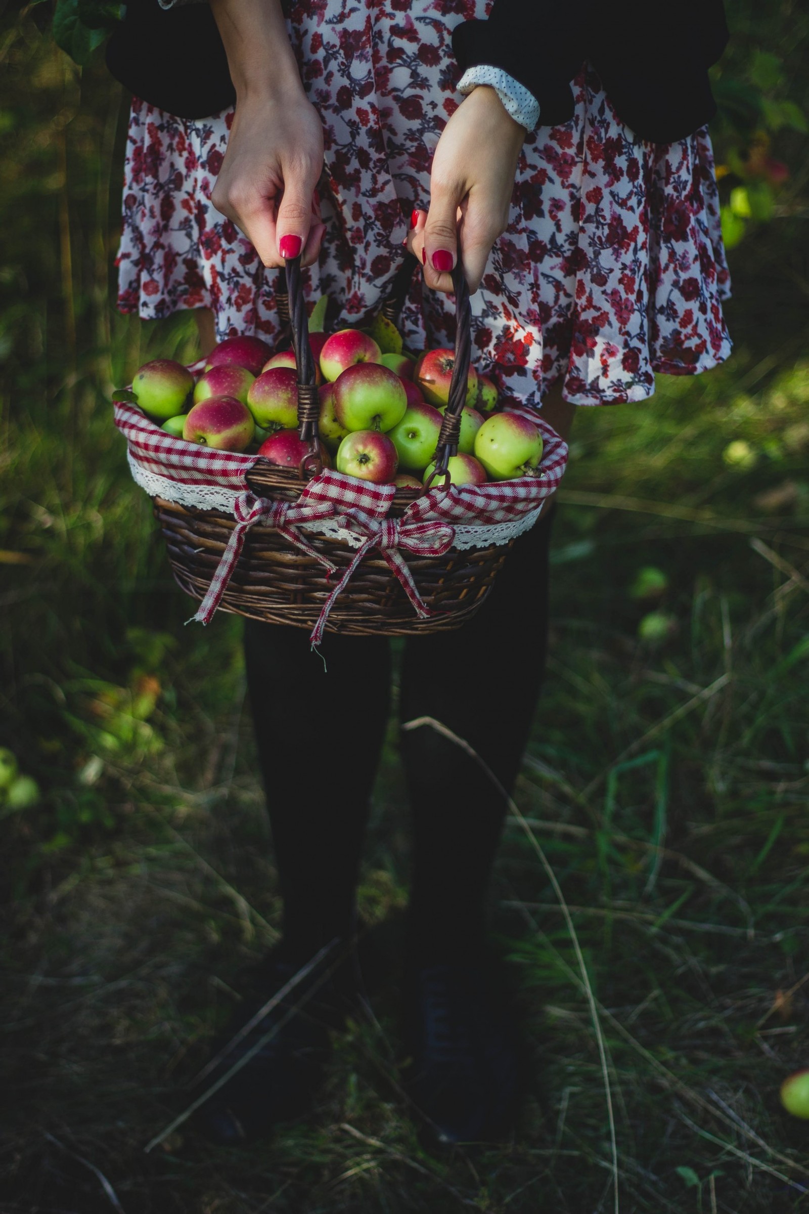 Il y a une femme tenant un panier de pommes dans les bois (pomme, panier, plante, fleur, fruit)