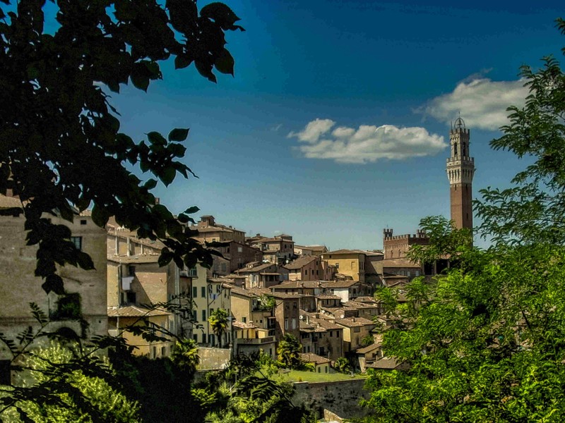 Панорамный вид на город с часовой башней вдалеке (сан джиминьяно, san gimignano, город, дерево, небо)