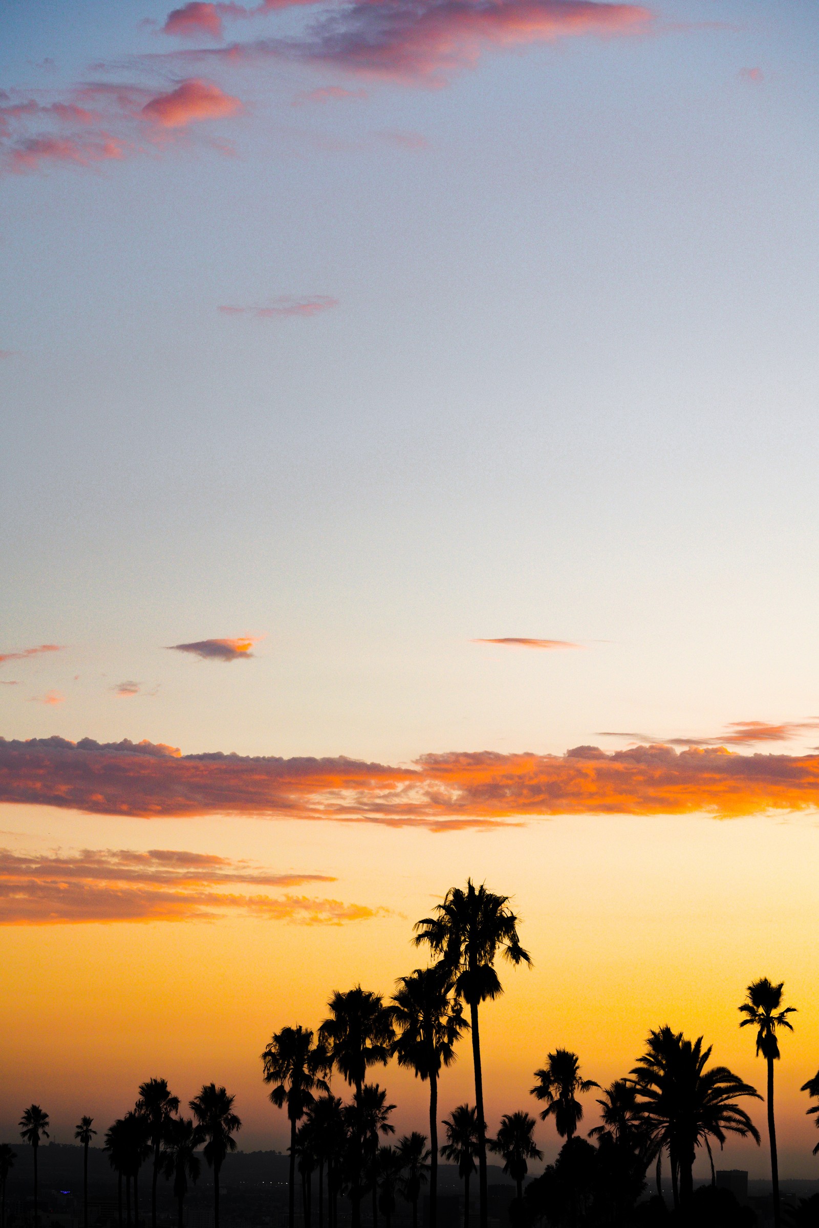 sunset, afterglow, tree, cloud, palm tree wallpaper