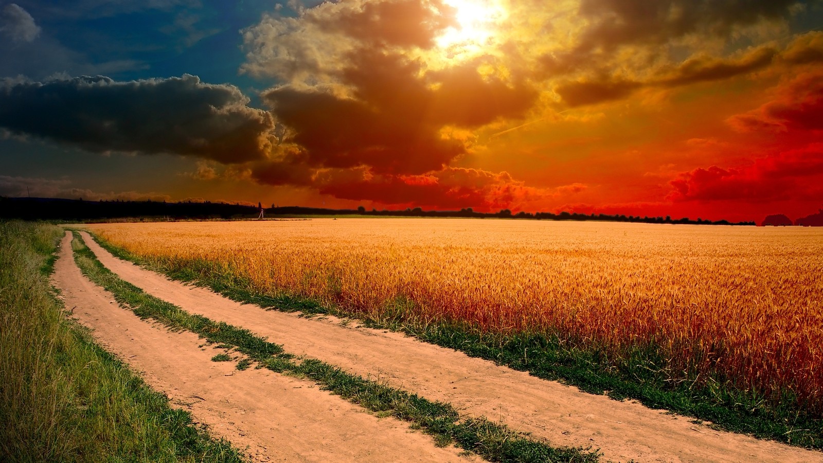 Uma estrada de terra passando por um campo com um pôr do sol ao fundo (natureza, beleza, campo, horizonte, resplendor)