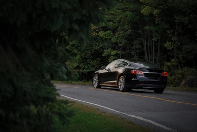 Eleganter Tesla Model S fährt eine malerische Straße entlang, umgeben von üppigem Grün.