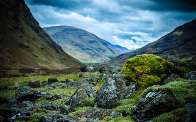 Lush Highland Landscape with Moss-Covered Rocks and Dramatic Mountains Under a Cloudy Sky