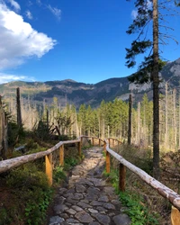 Malerischer Bergweg durch üppige Wildnis