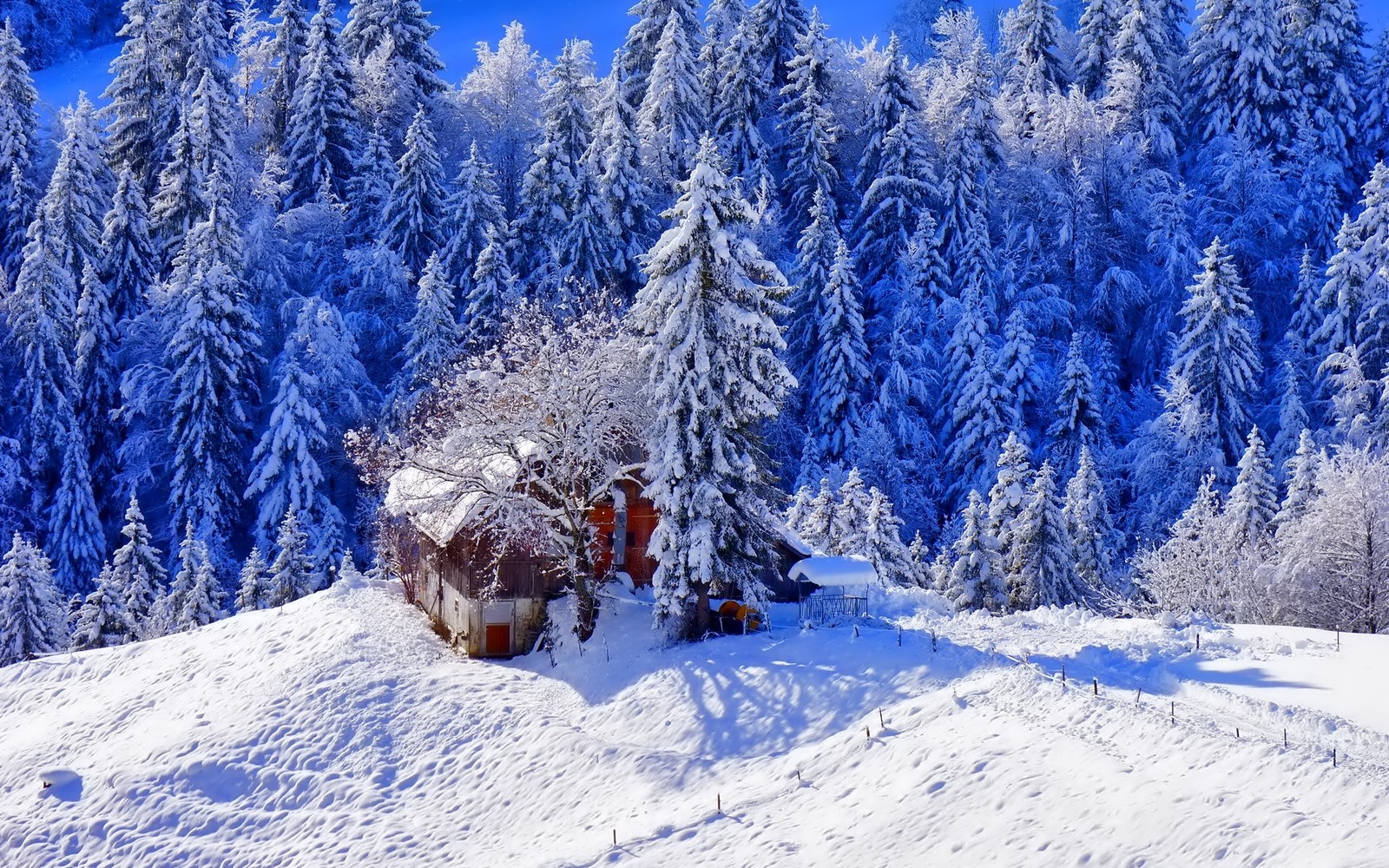 snow, hill, mountains, trees wallpaper