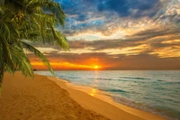 beach, horizon, tropics, sea, sunset wallpaper