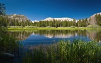 lake, scenery, mountains, forest, sunny day wallpaper