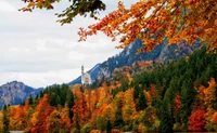 Schloss Neuschwanstein umgeben von lebhaften herbstlichen Laub in einer Bergwildnis.