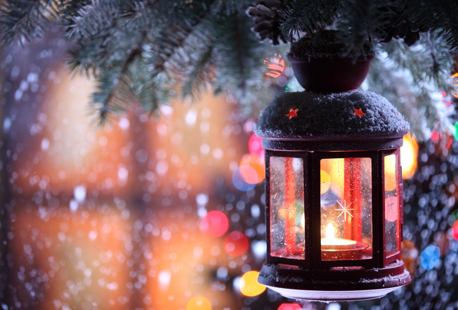 Um close de uma lanterna pendurada em uma árvore na neve (dia de natal, iluminação, árvore de natal, árvore, inverno)