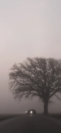 Tesla Model 3 debajo de un árbol majestuoso en una atmósfera brumosa