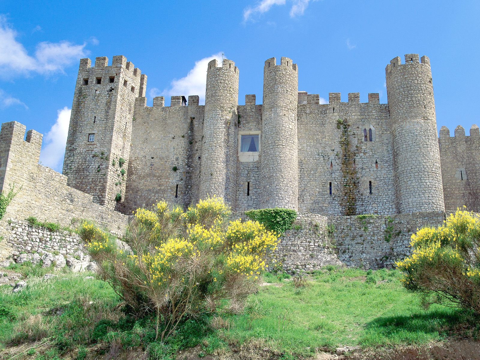 A close up of a castle with a grassy field and trees (castle, fortification, ruins, history, building)