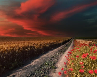 Vibrant Sunset Over a Dirt Road Adorned with Wildflowers