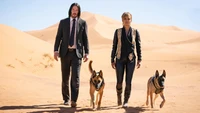 John Wick 3 : Keanu Reeves et Halle Berry dans le désert avec des chiens