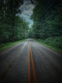 Route paisible à travers des arbres verts luxuriants dans l'État de New York