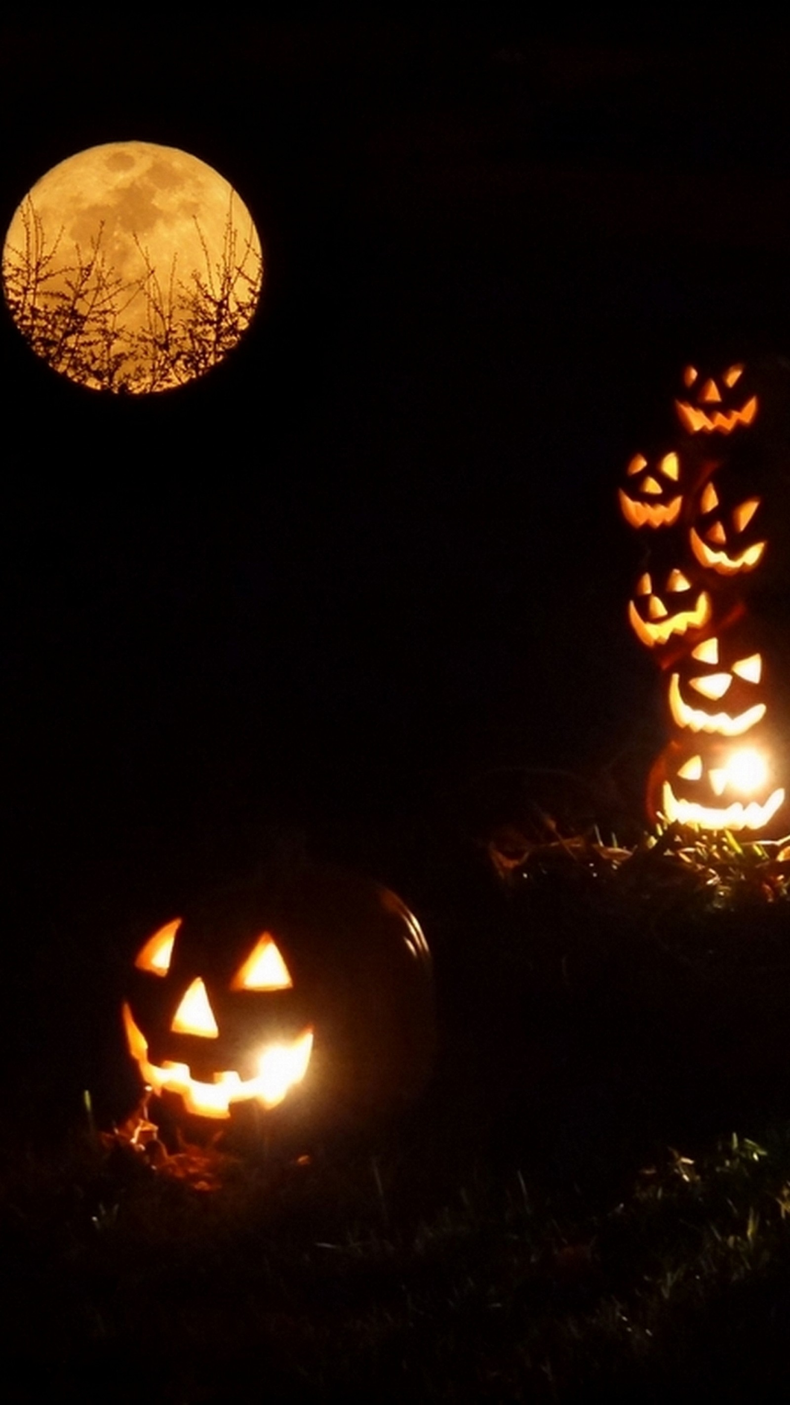 Lade halloween, nacht, spirituell Hintergrund herunter