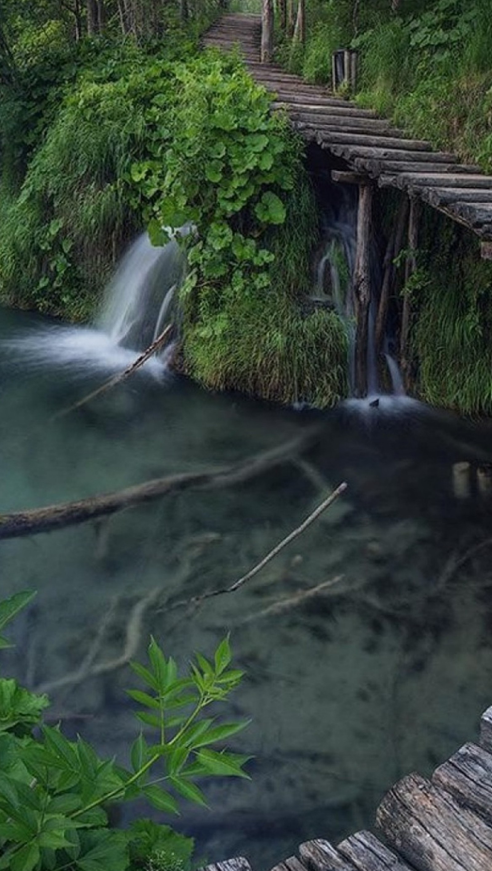 There is a wooden bridge over a small stream in the woods (nature, road, water)