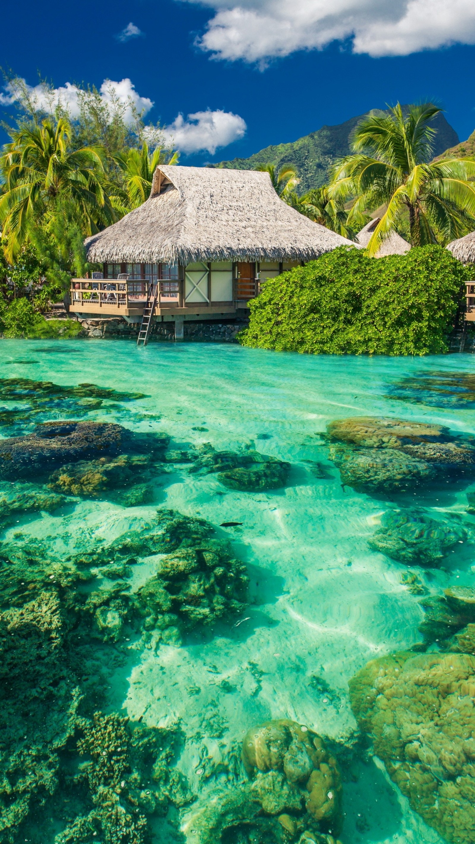 Una cabaña sobre el agua con un techo de paja y una isla tropical de fondo (verde, casa, naturaleza)