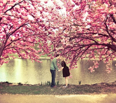 Étreinte romantique sous des cerisiers en fleurs