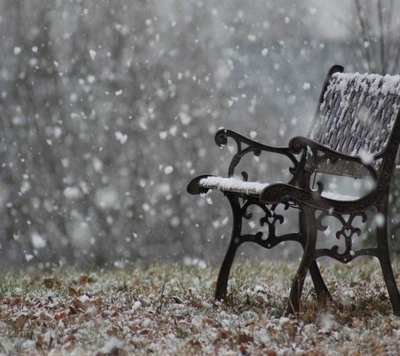 Neuer Winterblick: Eine einsame Bank im fallenden Schnee