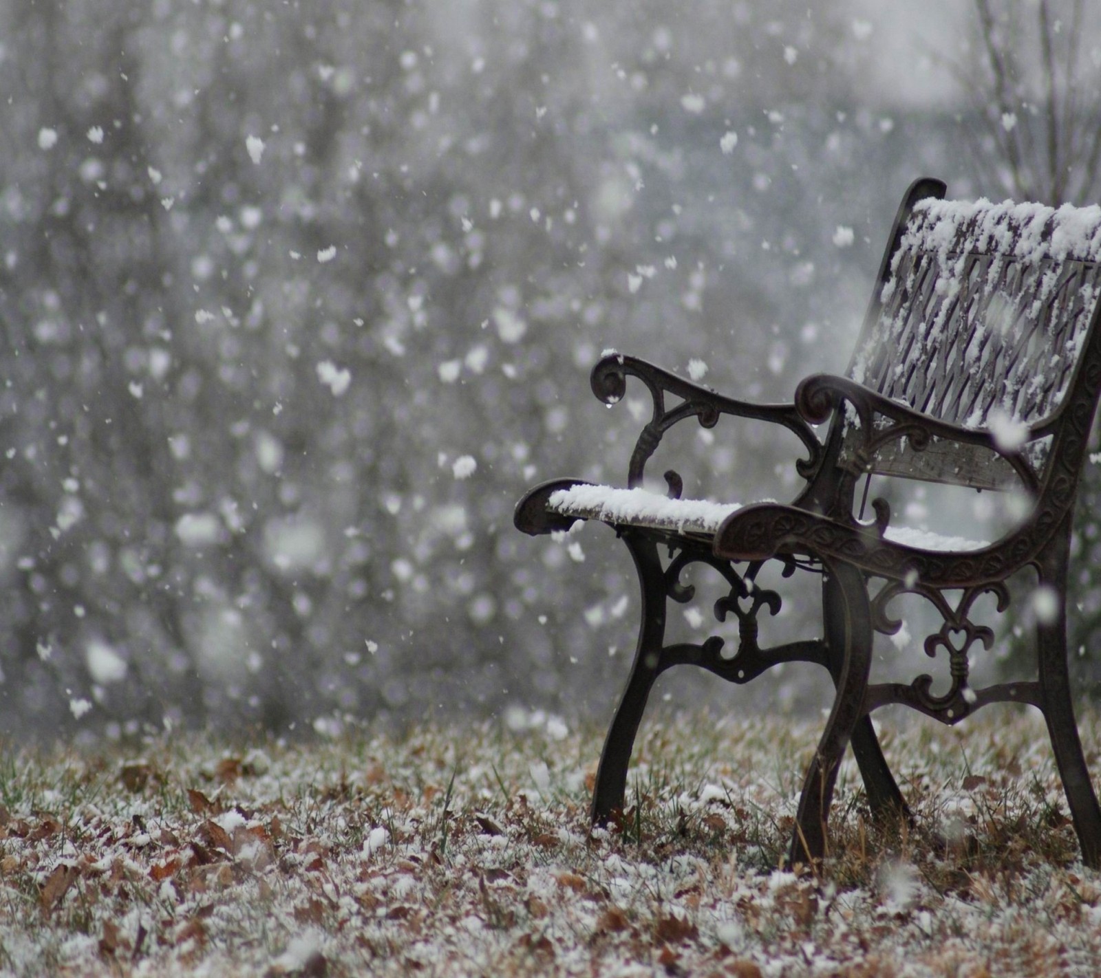 Il y a un banc qui est assis dans la neige (venir, nouveau, sympa, vue, hiver)