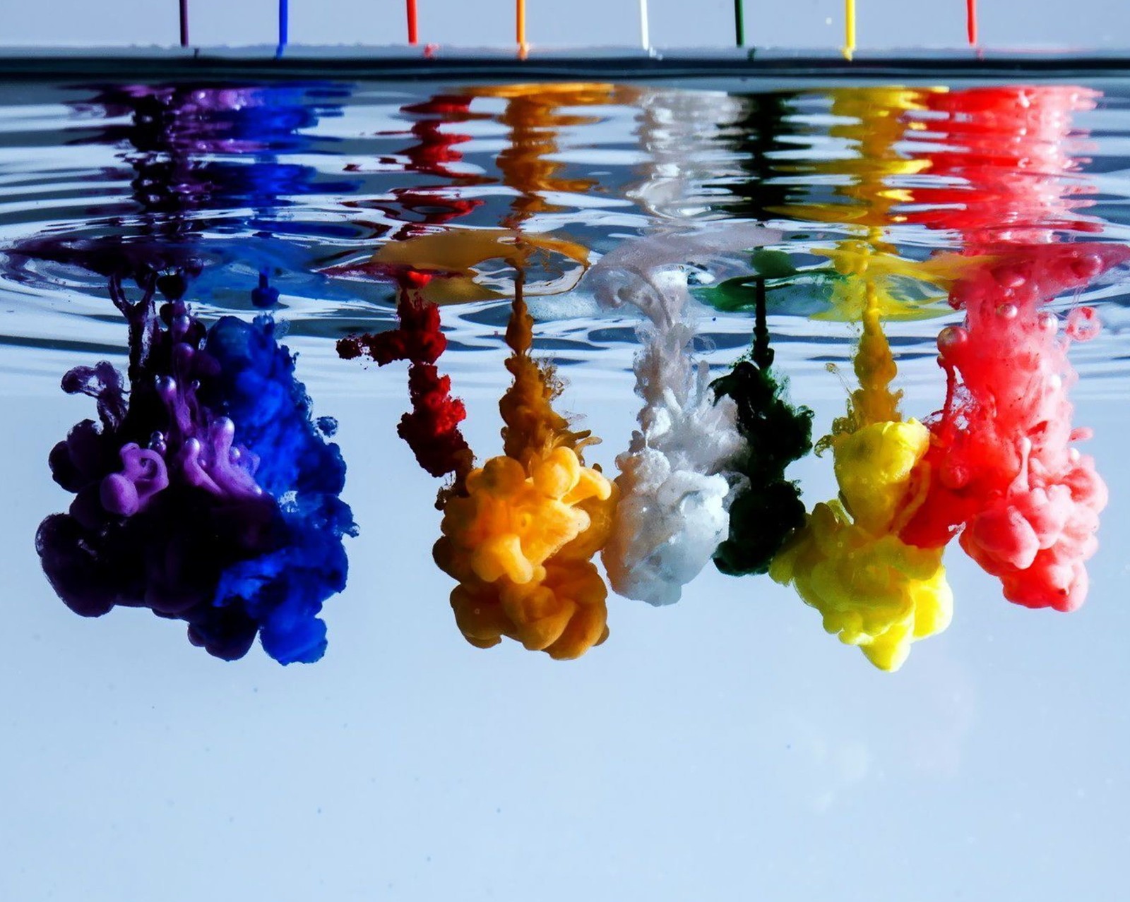 A close up of a rainbow of ink in water with a blue background (abstract, ink flowing in the water)