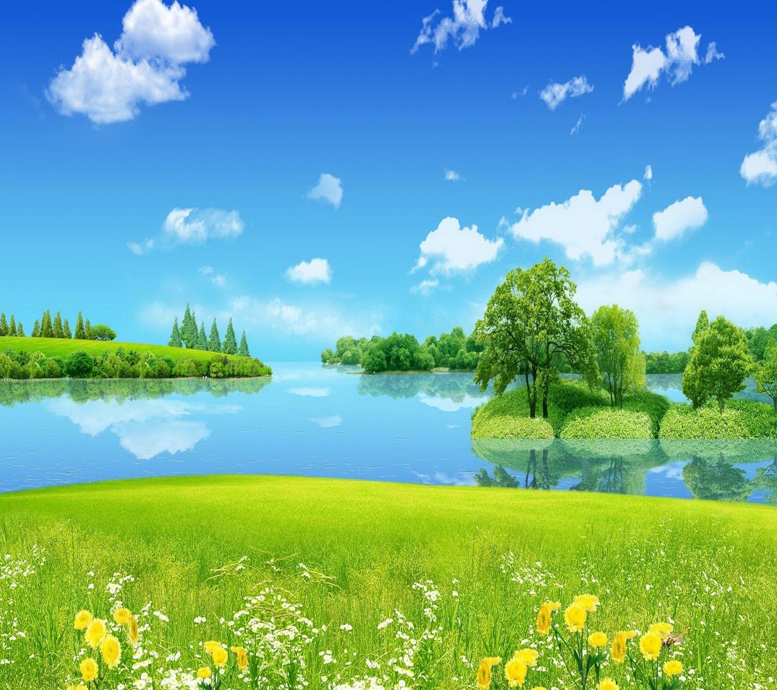 beautiful, nature wallpaper