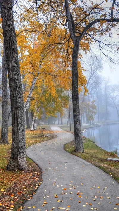 Sérénité automnale au bord du lac dans un parc brumeux