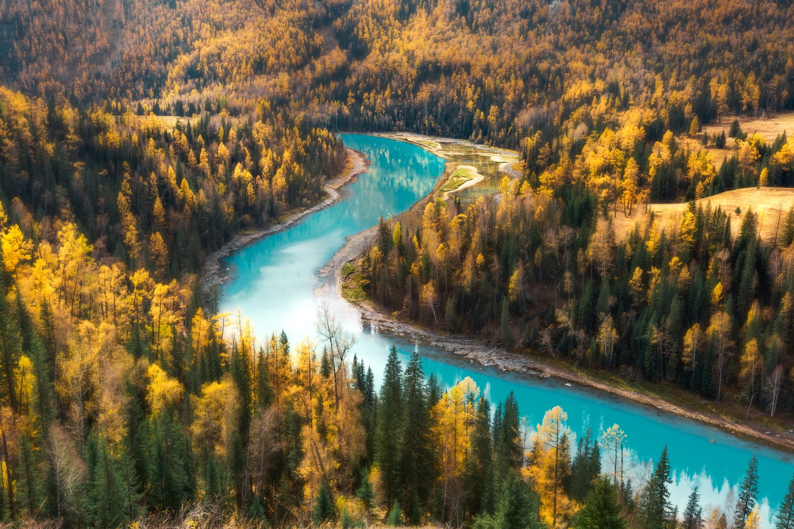 Вид на реку, протекающую через лес с деревьями (kanas lake, вид с воздуха, лес, живописный, деревья)