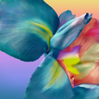 Vibrant Abstract Flower Petals in Magical Colors