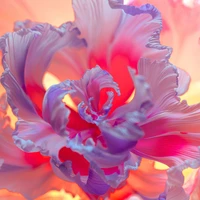 Vibrant Purple Floral Elegance in Digital Art