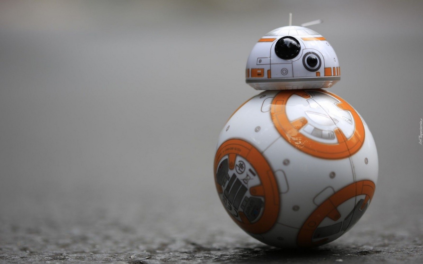 Крупный план игрушечного робота bb-8 на улице (рей, rey, звёздные войны, star wars, дроид)