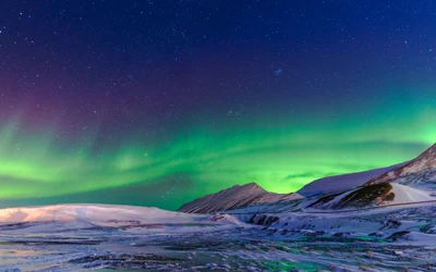 aurora, winter, atmosphere, green, light