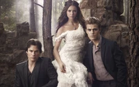 the vampire diaries, stefan salvatore, elena gilbert, damon salvatore, wedding dress wallpaper