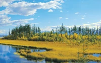 Reflets d'automne dans un paysage sauvage serein