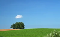 Ruhige Wiese Hokkaido unter klarem Himmel