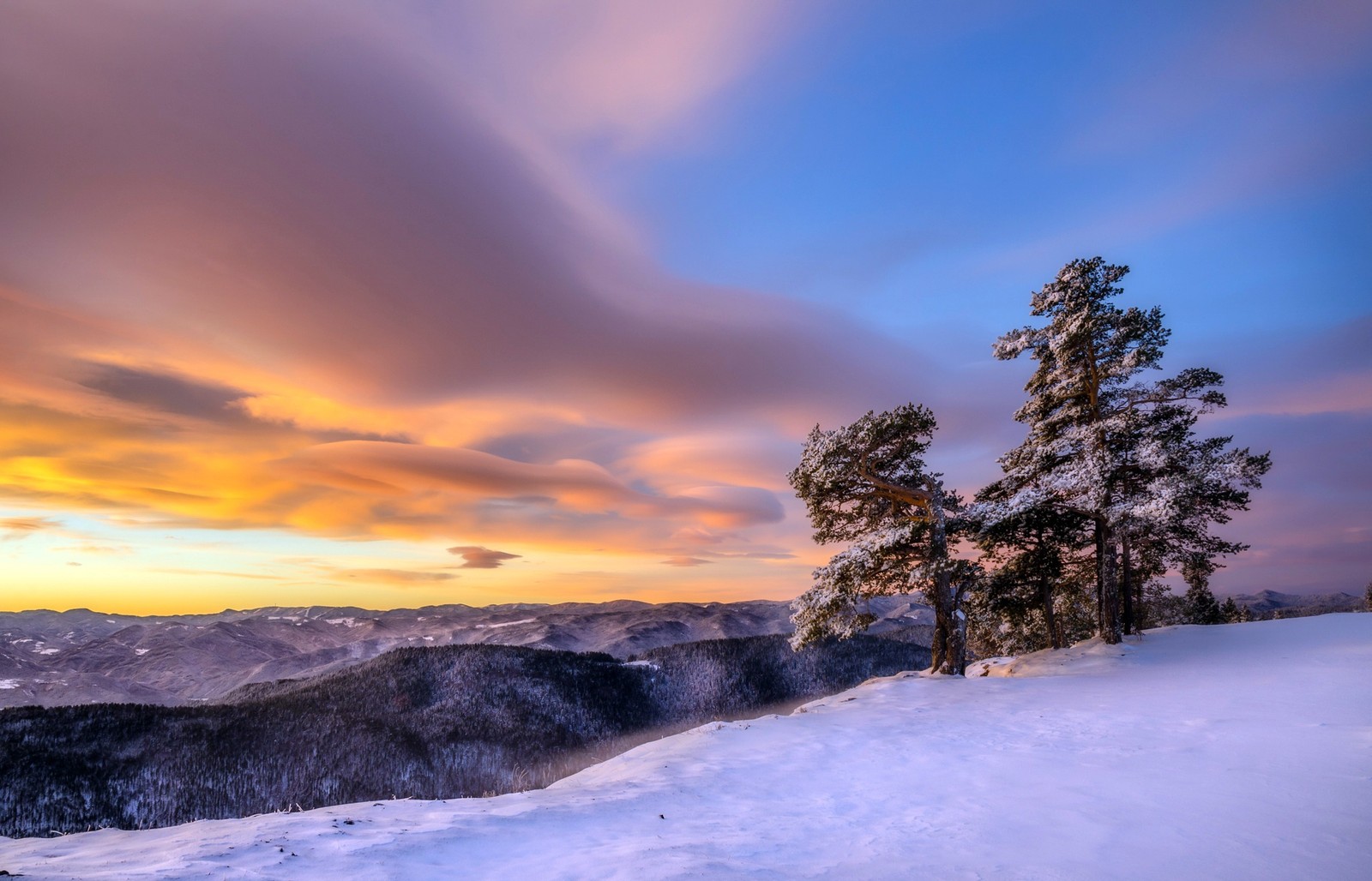 Blick auf einen schneebedeckten berg mit einigen bäumen darauf (schnee, winter, natur, wolke, baum)