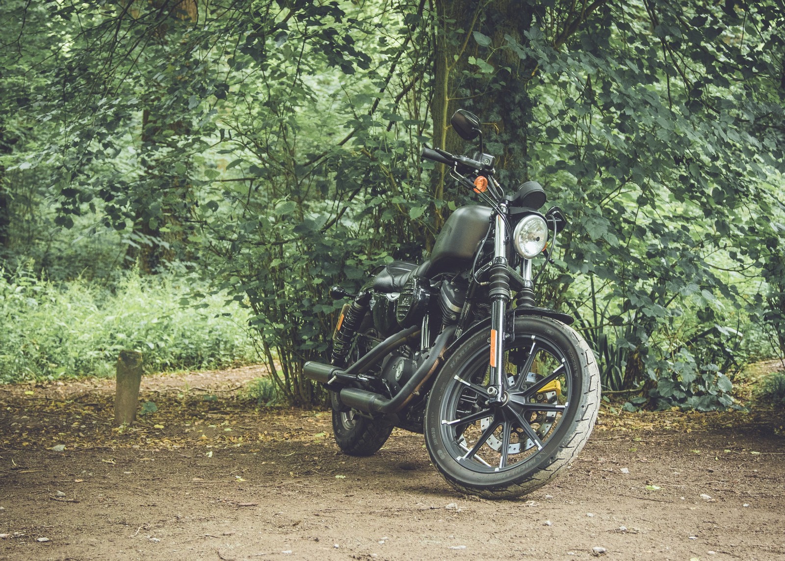 Baixar papel de parede motocicleta, selva, árvore, estrada de terra, pneu automotivo