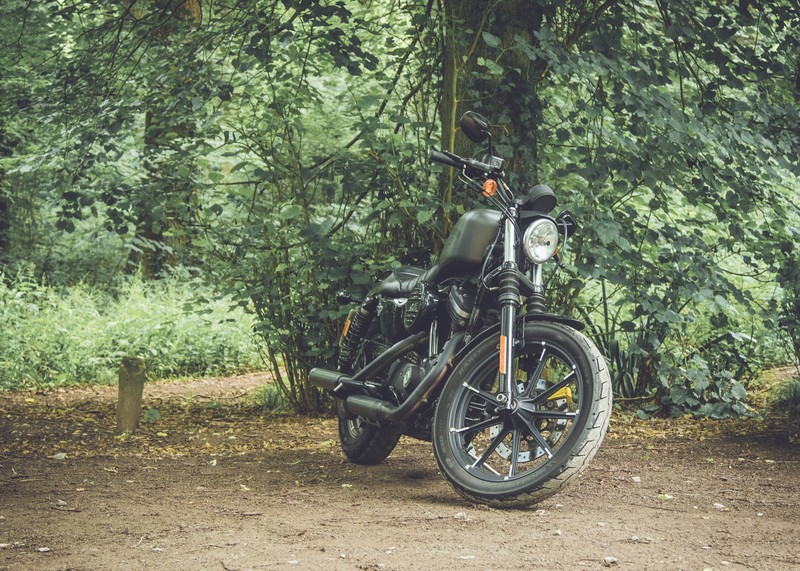 Ein motorrad, das mitten auf einem schotterweg geparkt ist (motorad, dschungel, baum, schotterstraße, autoreifen)