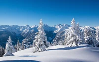 Paysage alpin enneigé sous un ciel bleu clair