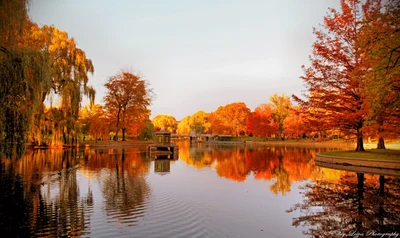 Autumn Reflections on a Tranquil Lake