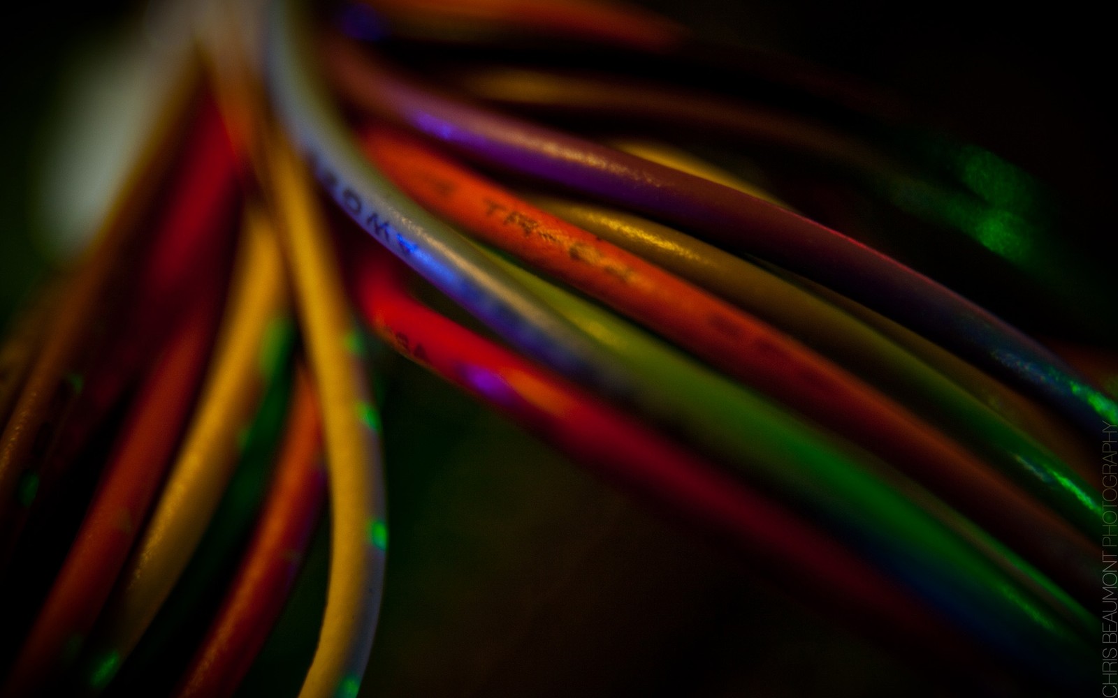 A close up of a bunch of colorful wires on a table (light, cable, line, electronic circuit, macro photography)