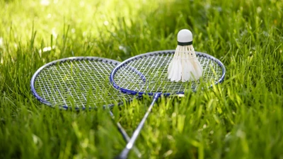 бадминтон, badminton, ракетки, воланчики, зеленая трава