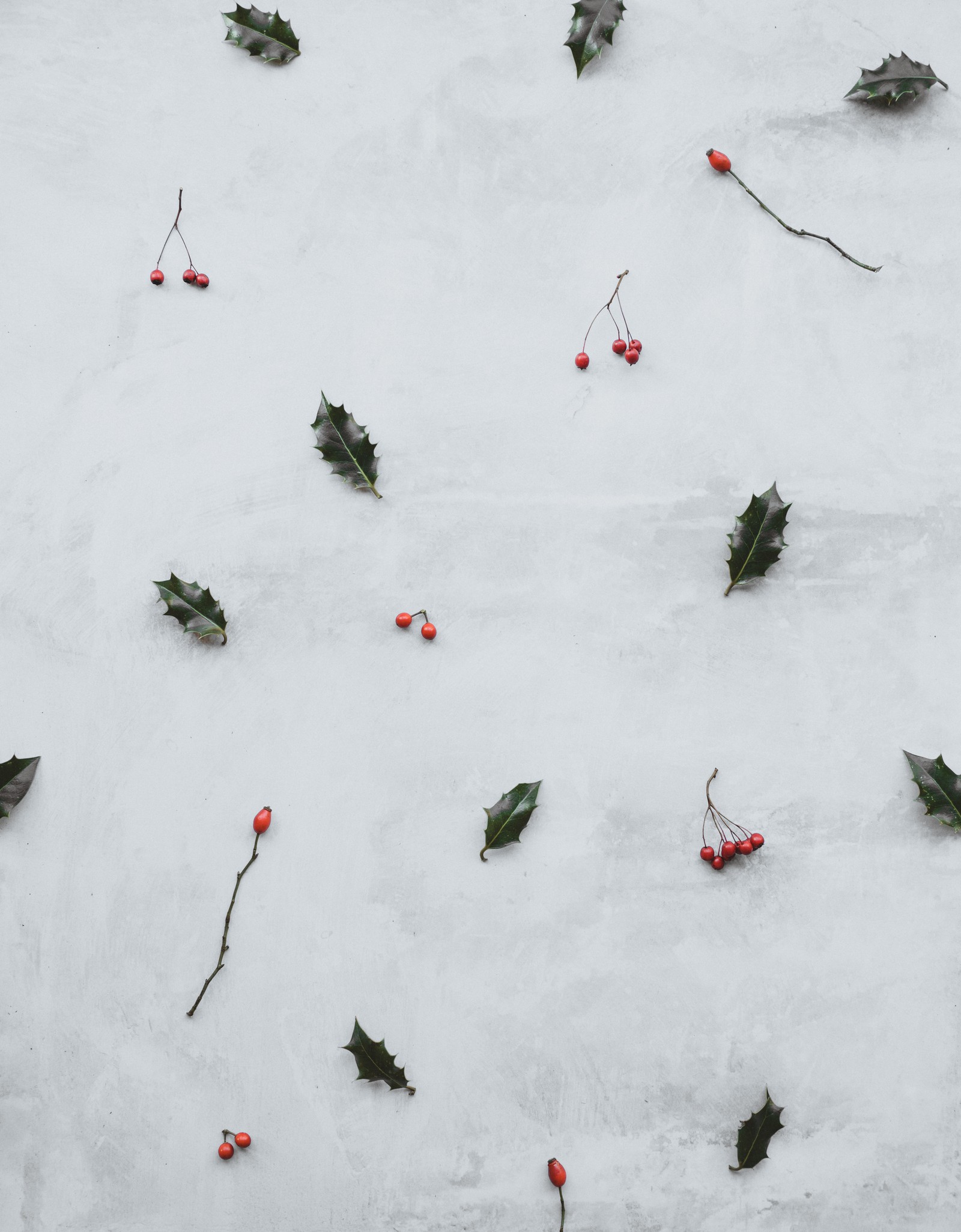 Lade schnee, winter, pflanze, erholung, graphiken Hintergrund herunter