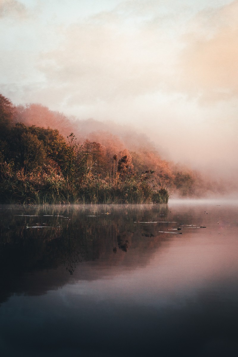 Лодка, плавающая в воде у берега (вода, природа, солнечный свет, туман, озеро)