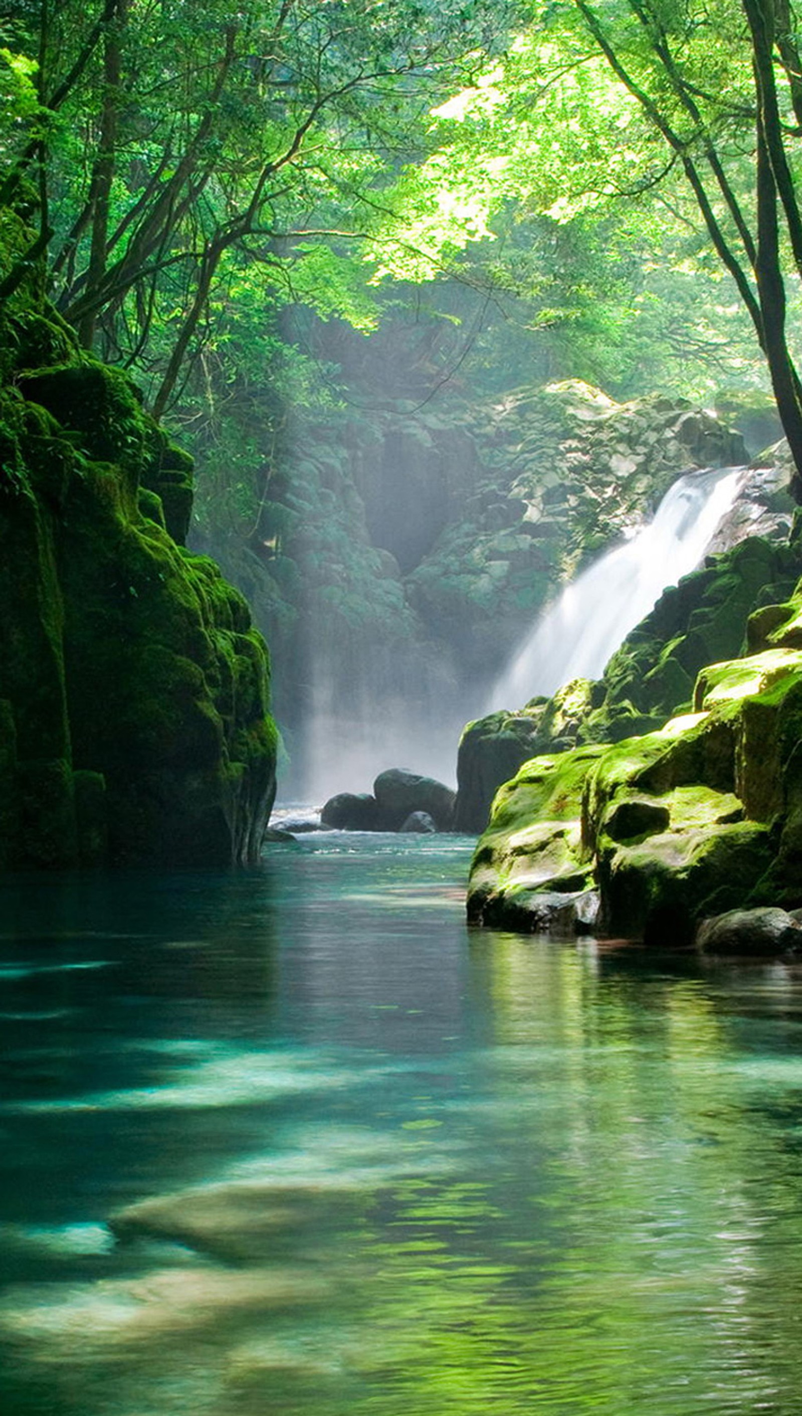 Ein wasserfall inmitten eines waldes mit moos auf den steinen (1440, 2560, bach, frisch, berg)